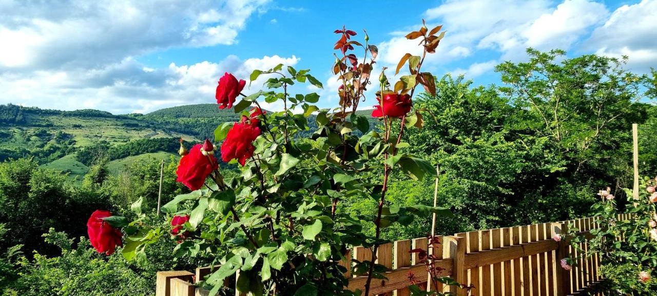 Villa Eskici Staro Myasto Zewnętrze zdjęcie